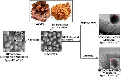 Applications of Chinese Camellia oleifera and its By-Products: A Review